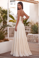 Cassiopeia Strapless Pleated Evening Dress