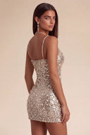 Aurora Sequin Bead Mini Dress