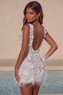 Lucinda Sequin Feather Mini Dress