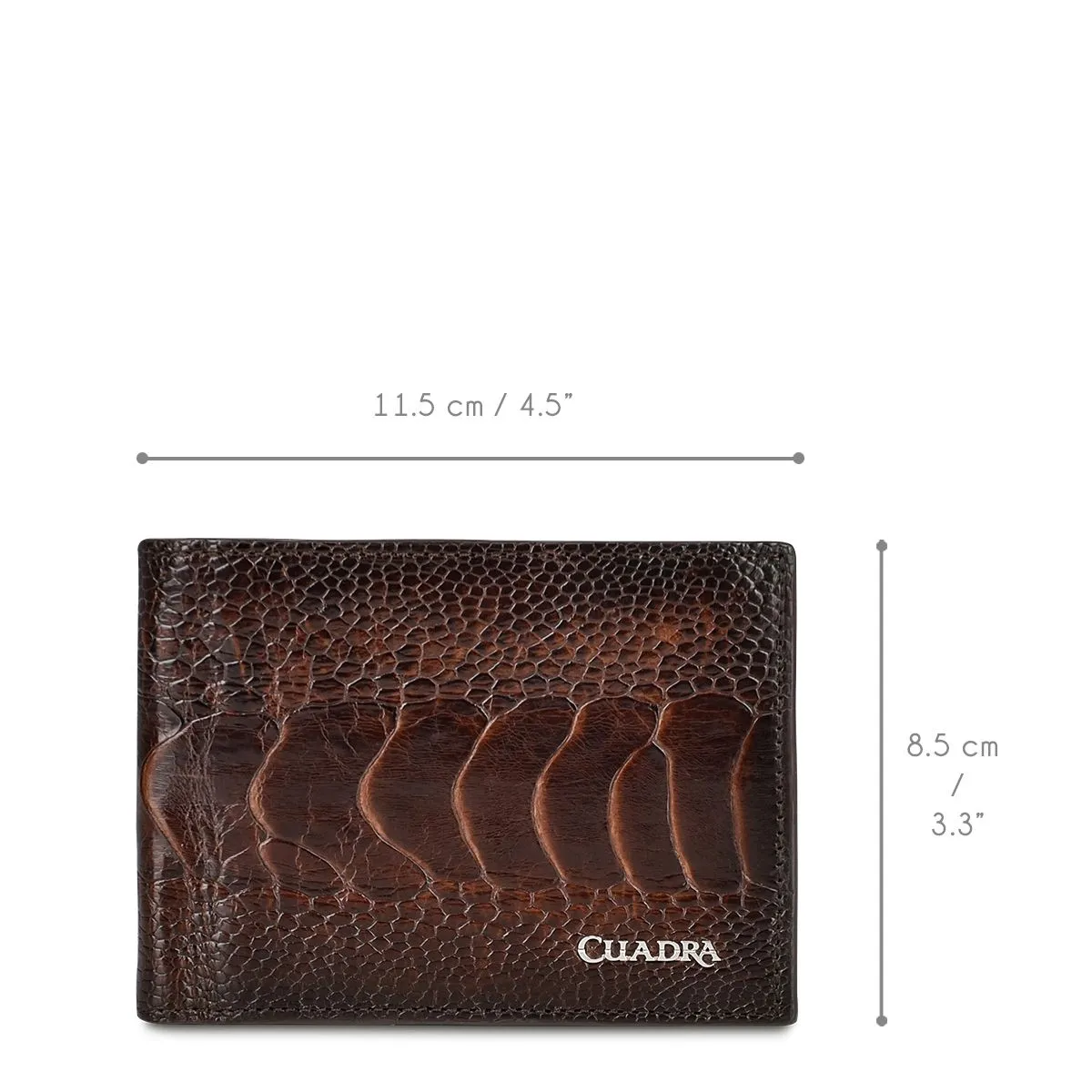 B2910PA - Cuadra chocolate classic ostrich leg bi fold wallet for men